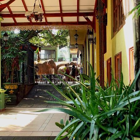Green Land Guest House Pinnawala  Bagian luar foto