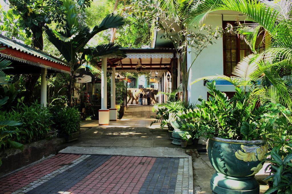 Green Land Guest House Pinnawala  Bagian luar foto