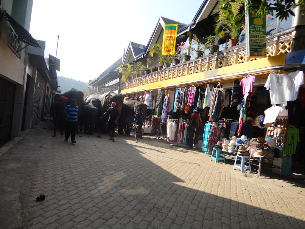 Green Land Guest House Pinnawala  Bagian luar foto