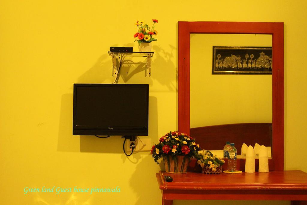 Green Land Guest House Pinnawala  Bagian luar foto