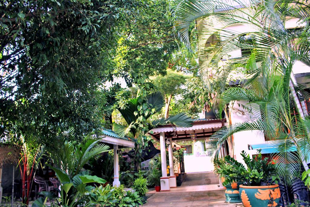 Green Land Guest House Pinnawala  Bagian luar foto