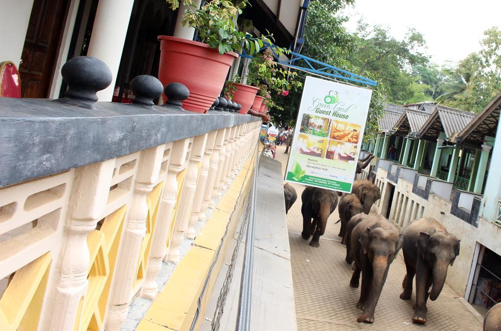 Green Land Guest House Pinnawala  Bagian luar foto
