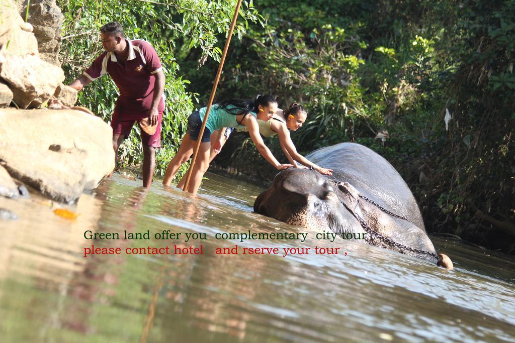 Green Land Guest House Pinnawala  Bagian luar foto