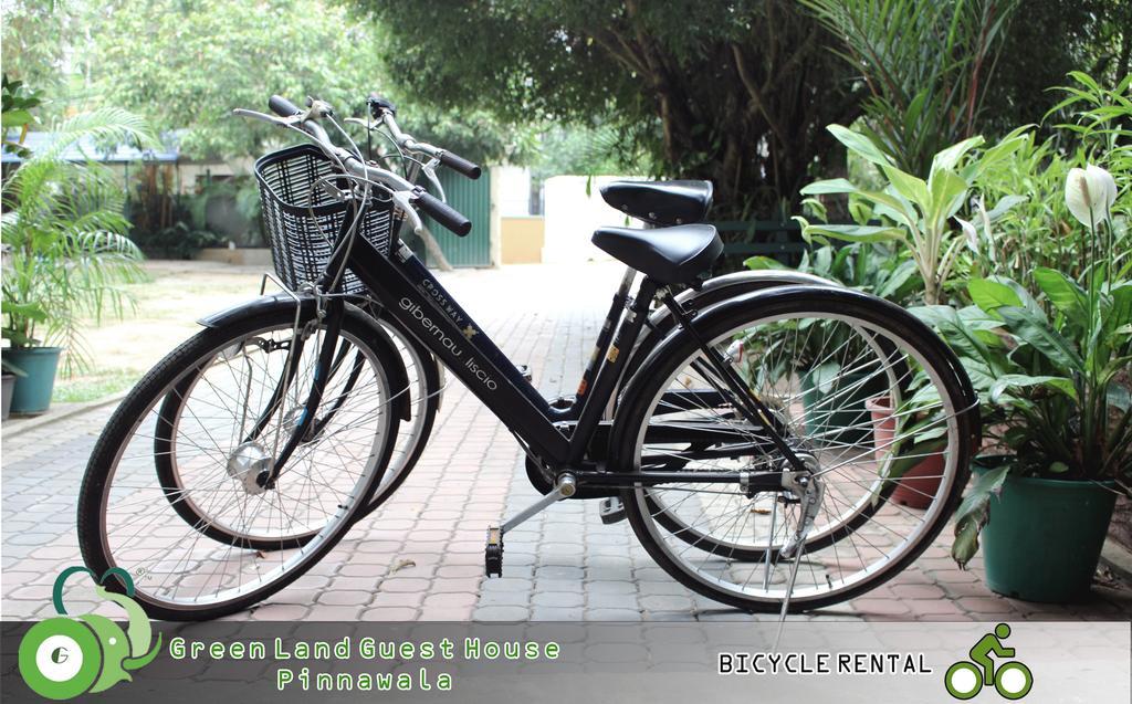 Green Land Guest House Pinnawala  Bagian luar foto