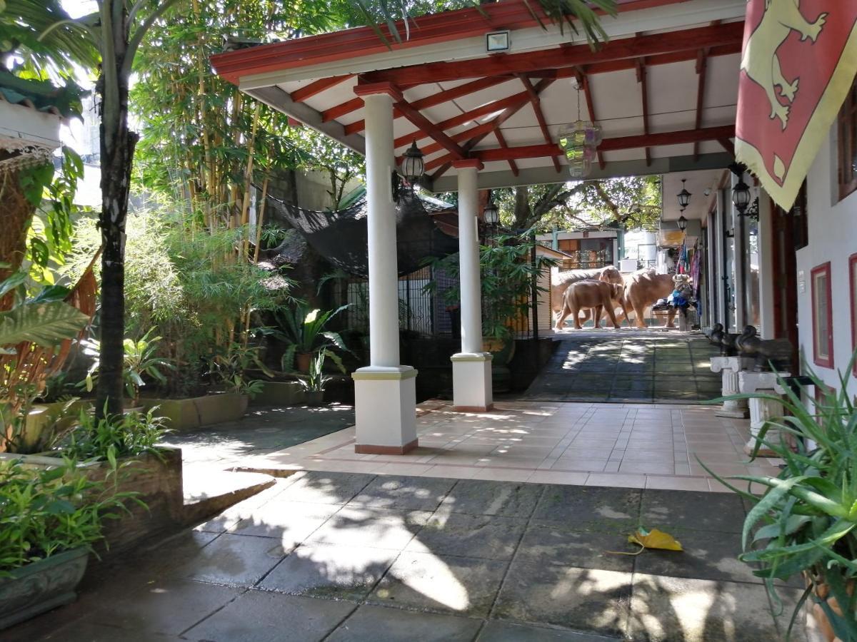 Green Land Guest House Pinnawala  Bagian luar foto
